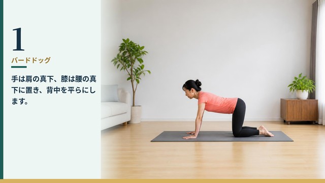バードドッグ 1