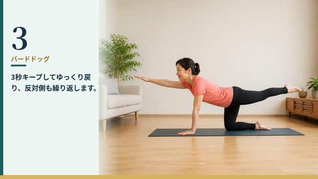 バードドッグ 3